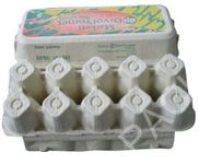Molded pulp egg trays-12 eggs