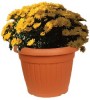 Plastic Flowerpot (XT3307)