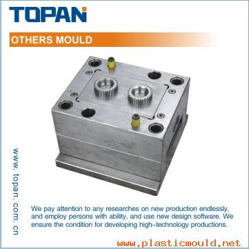 OTHER MOULD