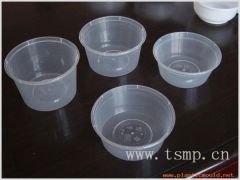 plastic container mould,mold