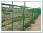 fencing wire mesh/fence/chain link fence/razo