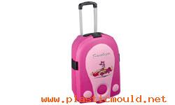 Plastic luggage mould