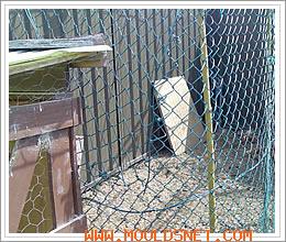 PVC coated chicken wire