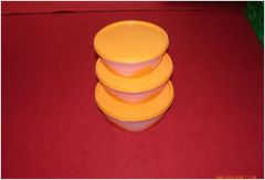 container  mold