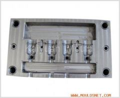 China Plastic Injection Mould