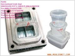 offer thin wall mould