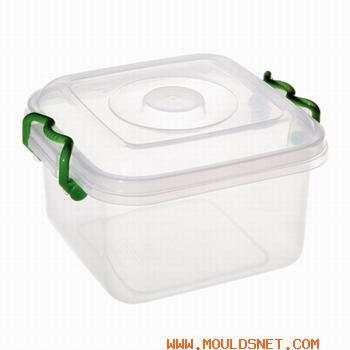 plastic food container mould/lunch box mold/food box mould
