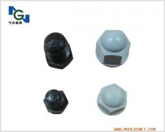 Screw and nut cap mould