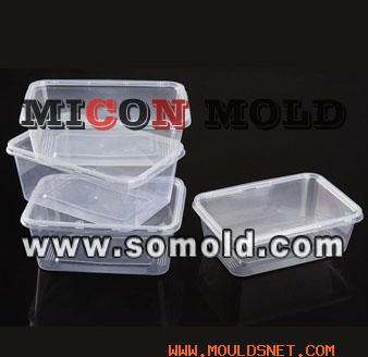 lunch bix mold,Rectangle dinner box mold