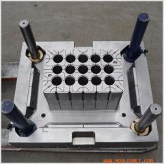 Plastic Injection Bottle Crate Mould