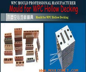 WPC(Wood Plastic Composite)Extrusion Mould for Flooring