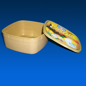 plastic box and lid