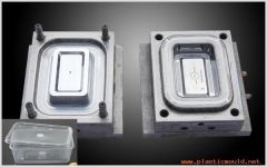container mould,microwave container mould,plastic box mould