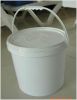 paint bucket mould and product