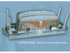Mould of automobile beam