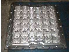 Egg Tray Injection Mould