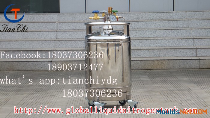 TIANCHI best seller YDZ-150 self-pressurized cryogenic vessel Price in GL