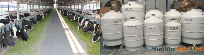 35L Cryogenic dewar tank liquid nitrogen storage co<em></em>ntainer factory direct sale