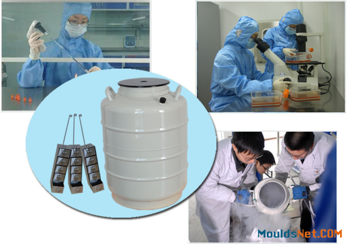6L 50mm caliber Liquid nitrogen storage canister Supplier