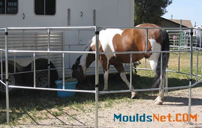 A horse is enclosed in the round-pipe portable panels