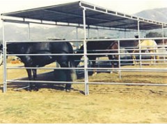 Horse Panel Shelters